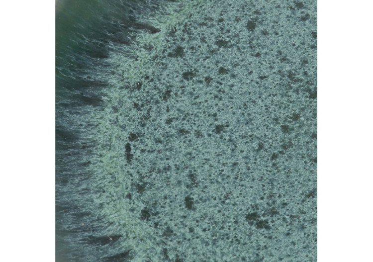 Assiette à dîner Aqua - Set de 4 - Design moderne et couleurs vibrantes - POCE081Bl-SET4 - Bazar Bizar 2