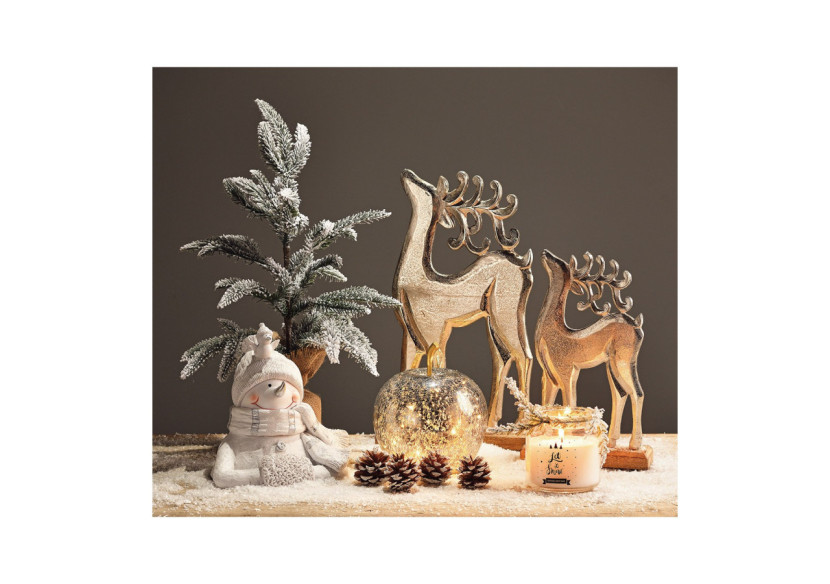 Pomme décorative en verre avec lumière LED et timer - Argent - Dimensions 16 x 17 cm - 10029987 - WURM