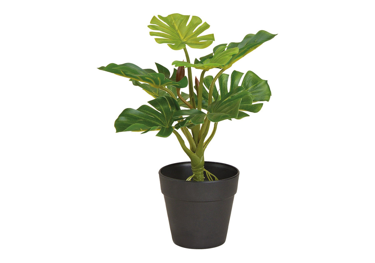 Plante artificielle Monstera Split - Hauteur 30 cm - 10029786 - WURM