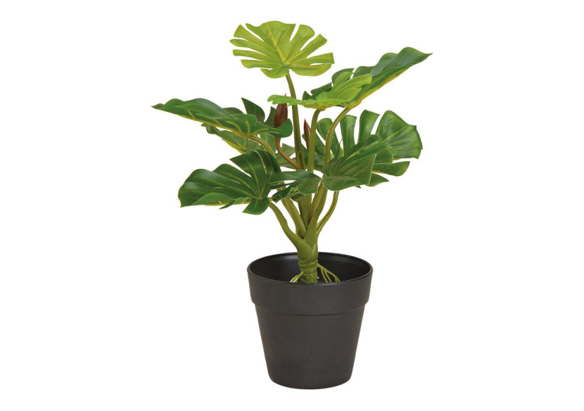 Plante artificielle Monstera Split - Hauteur 30 cm - 10029786 - WURM