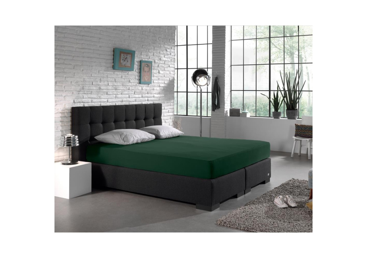 Housse de Matelas Dubbel Jersey - 220 g, Vert Botanique 140 x 200/220 cm - Royal Textile