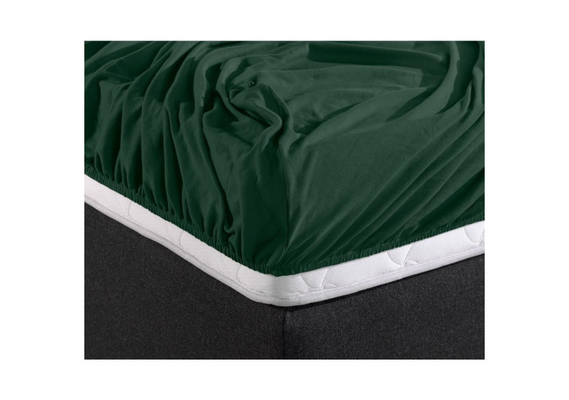 Housse de Matelas Dubbel Jersey - 220 g, Vert Botanique 140 x 200/220 cm - Royal Textile