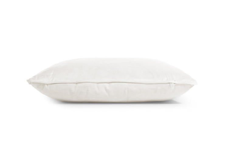 Coussin Velvet Beige - 50 x 50 cm en velours doux - 17021875 - Royal Textile