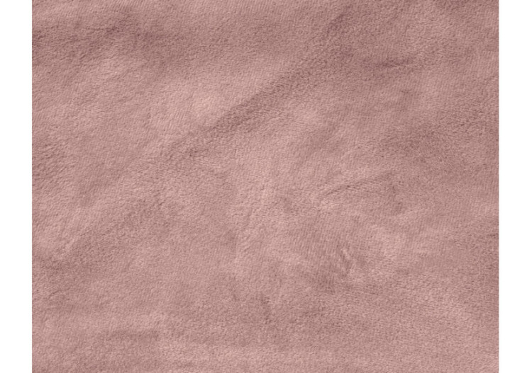 Housse de coussin en velours - Lot de 2 Oud Rose 60 x 70 - 17021280 - Royal Textile 2