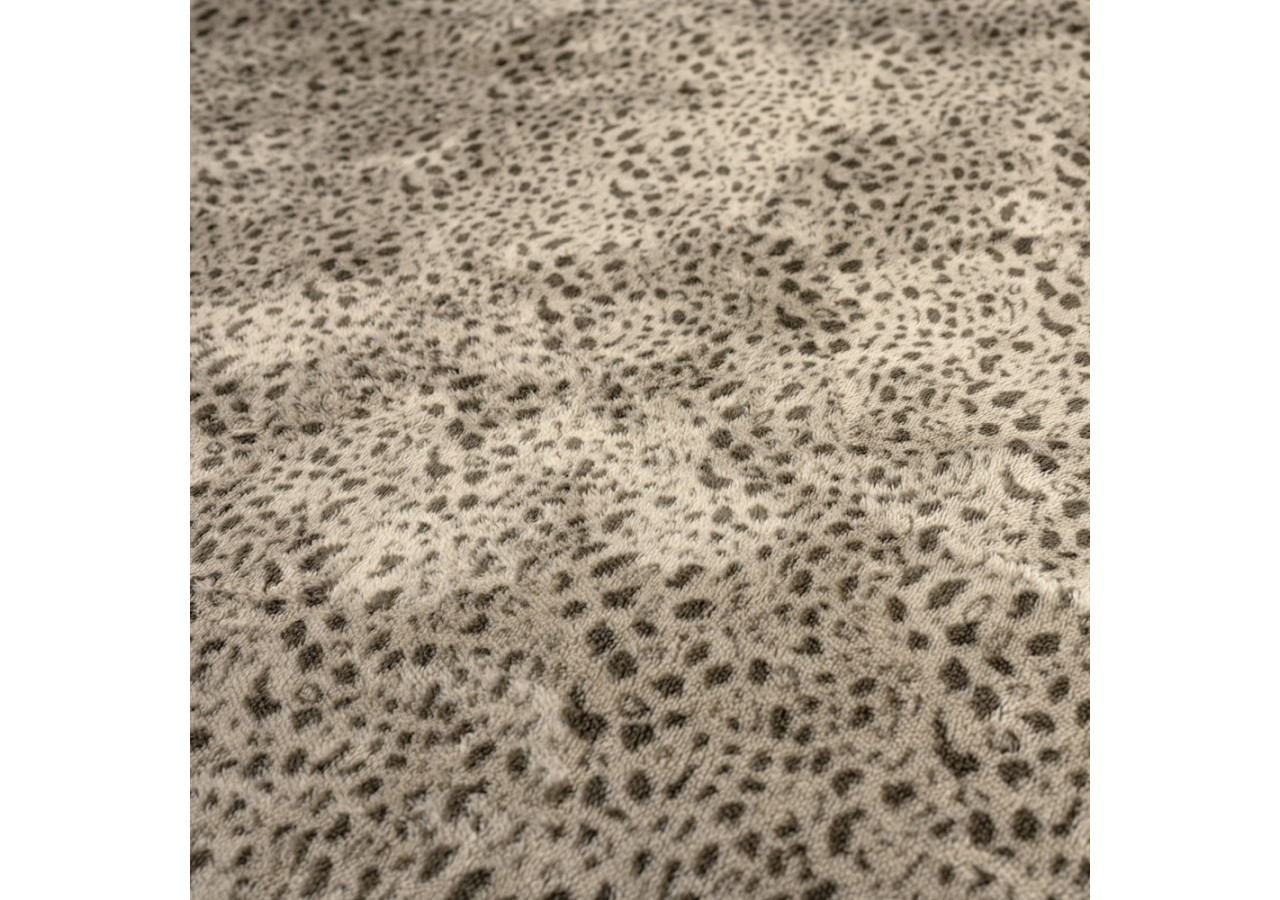 Housse de Couette Teddy Tiger Taupe - 140 x 200/220 cm, Imprimé Tigré - 17019153 - Sleeptime