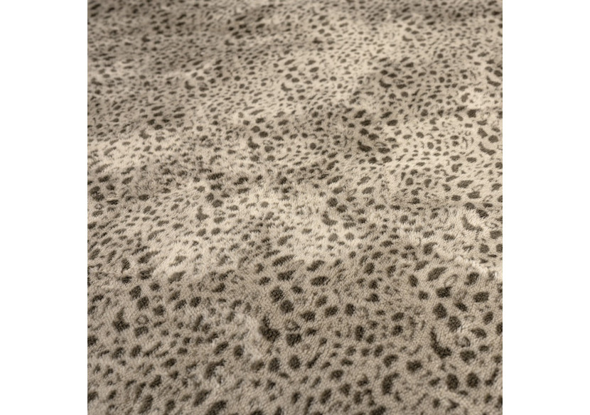 Housse de Couette Teddy Tiger Taupe - 140 x 200/220 cm, Imprimé Tigré - 17019153 - Sleeptime