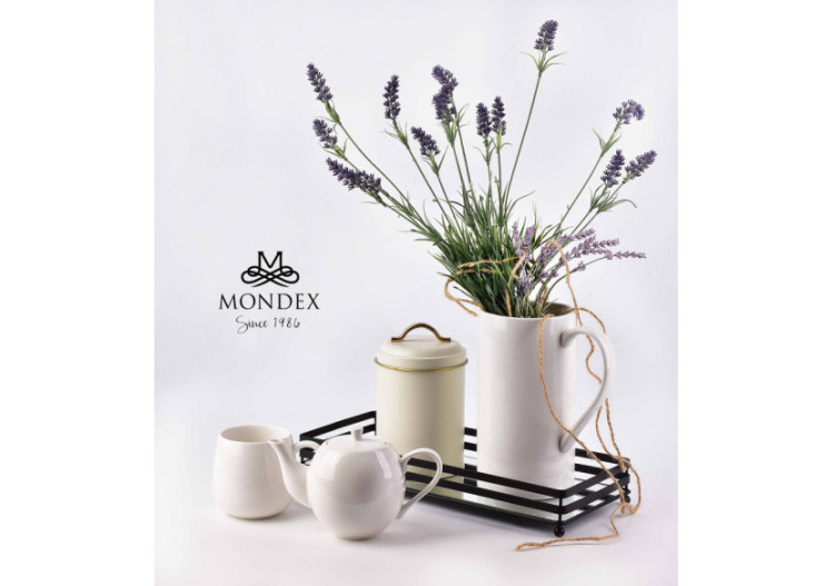 Plateau CEDRIC - Métal et Miroir 39x16xh5,5cm - HTOP3691 - Mondex 2