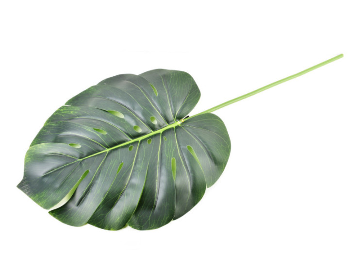 Fleur artificielle VIRIDIS - Monstera 77x36cm - HTQB2975 - Mondex 2