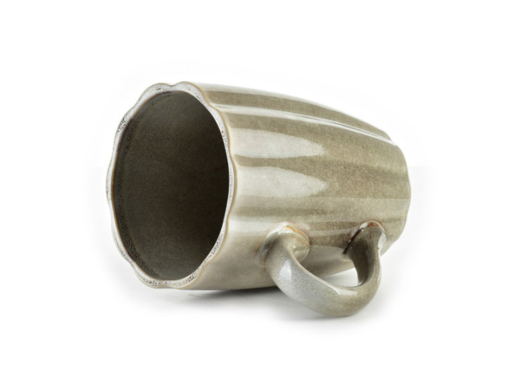 Mug BASIC NATURE - Style moderne 300ml - HTNA7956 - Mondex 2