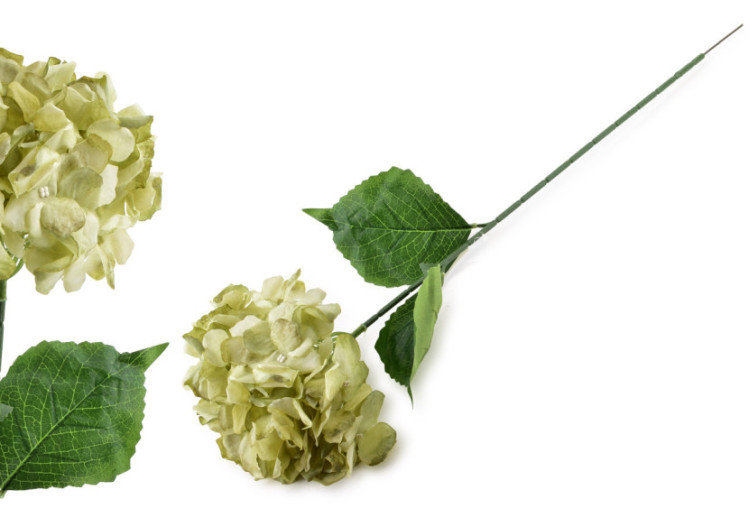 Hortensia Artificiel VIRIDIS - Fleurs 73 cm - HTUA9065 - Mondex