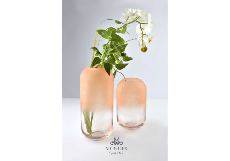 Vase SERENITE mat - 22x12cm - HTID0813-PROM - Mondex 2