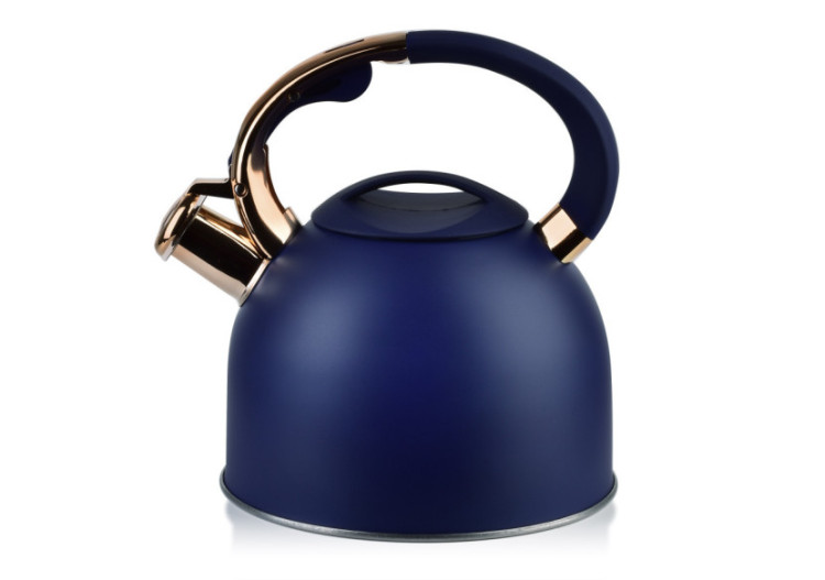 Bouilloire STEN GOLD - Capacité 2,5L en acier inoxydable - HTXD6882-CX - Allesken