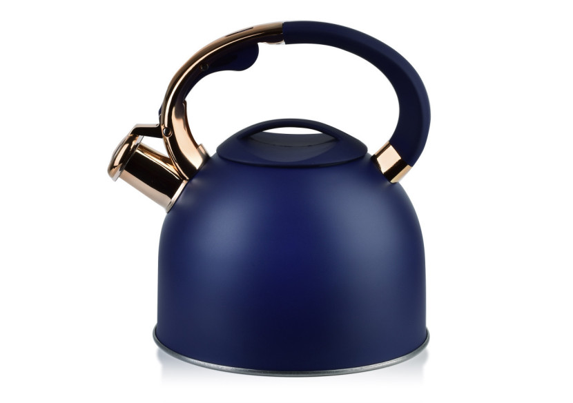 Bouilloire STEN GOLD - Capacité 2,5L en acier inoxydable - HTXD6882-CX - Allesken