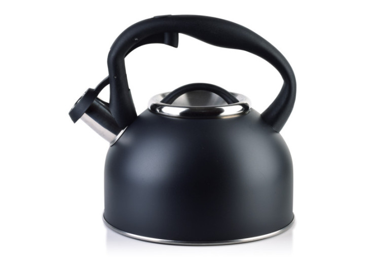 Bouilloire GAB BLACK - Capacité de 2,5L en acier inoxydable - HTXD6653-CX - Allesken