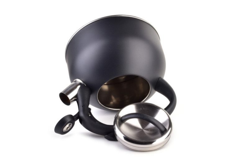 Bouilloire GAB BLACK - Capacité de 2,5L en acier inoxydable - HTXD6653-CX - Allesken 2