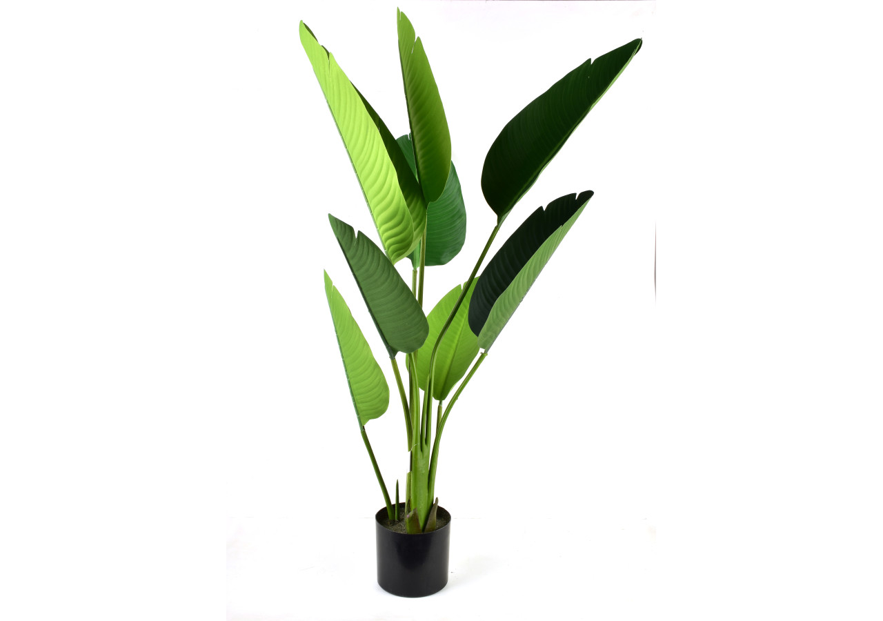 Fleur artificielle VIRIDIS - Banane en pot H110cm - HTQB2937 - Mondex