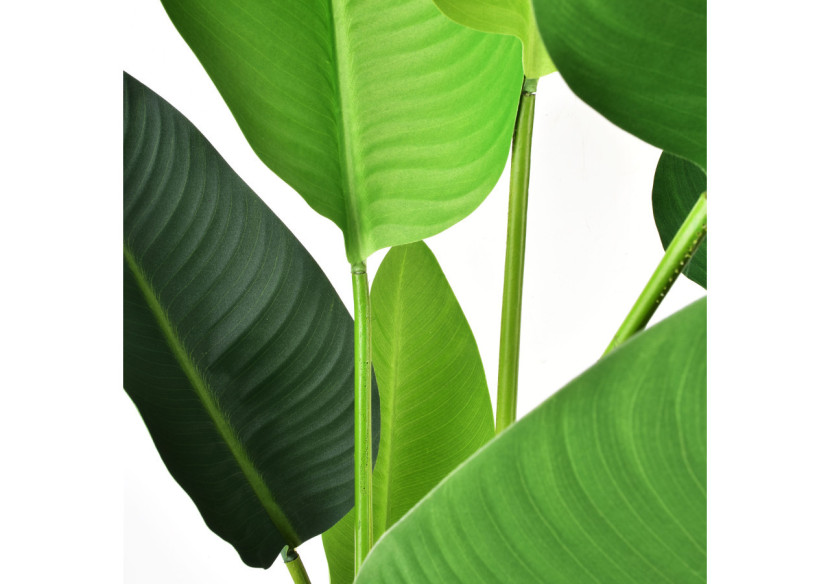 Fleur artificielle VIRIDIS - Banane en pot H110cm - HTQB2937 - Mondex Fleur artificielle VIRIDIS - Banane en pot H110cm - HTQB2937 - Mondex