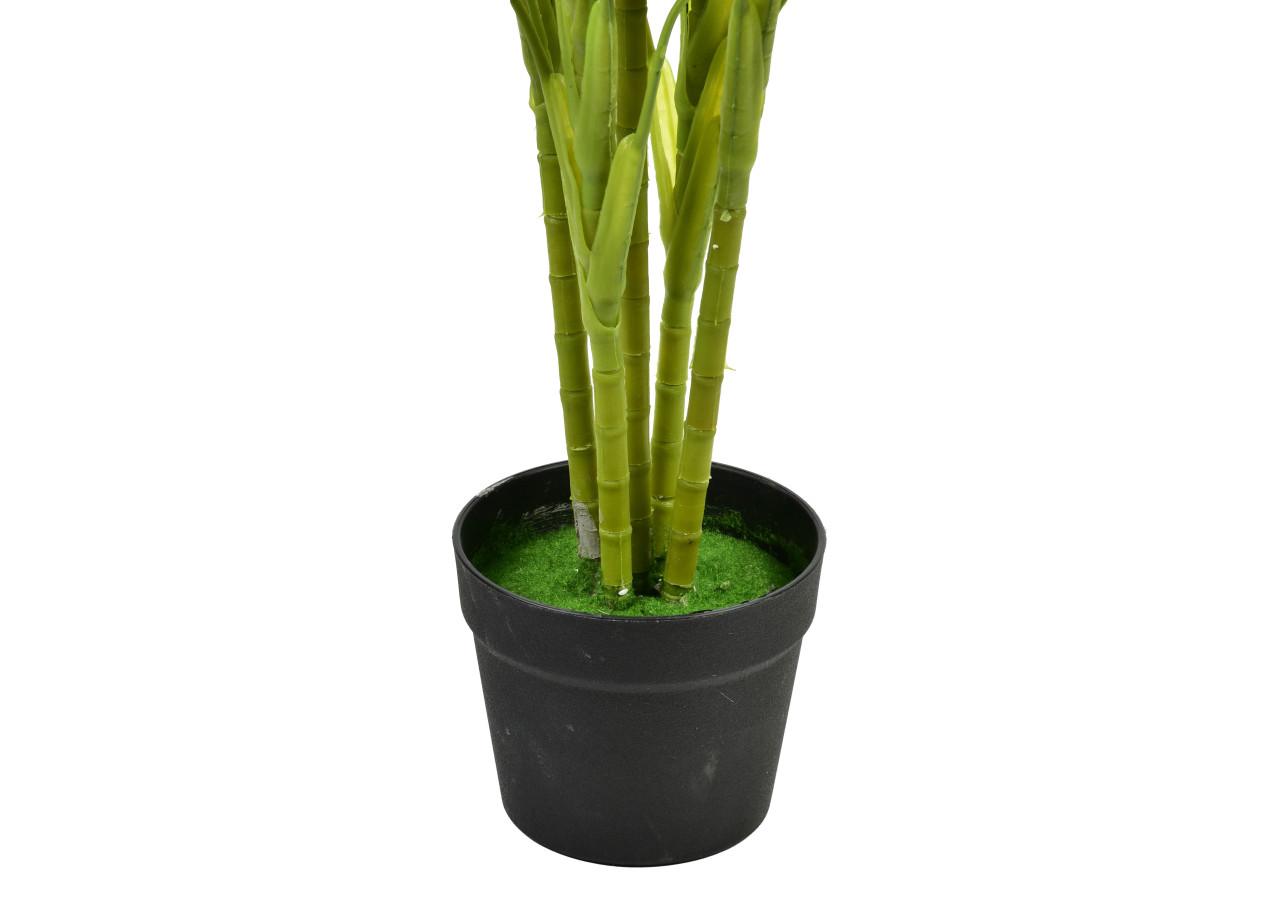 Plante JUNGLE Monstera - Hauteur 120 cm en pot - HTUA9201 - Mondex