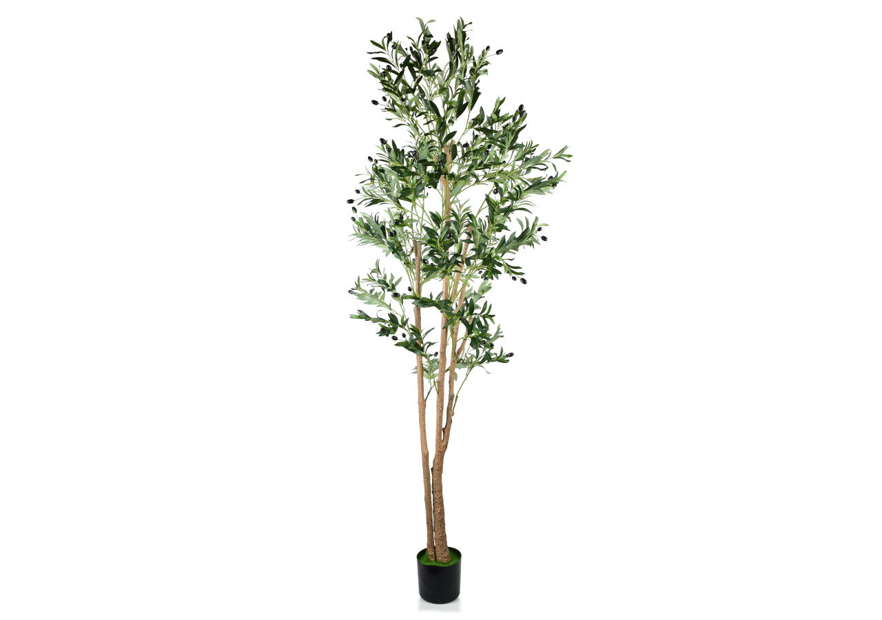OLIVES - Plante artificielle hauteur 210cm avec pot - HTUA9126 - Mondex