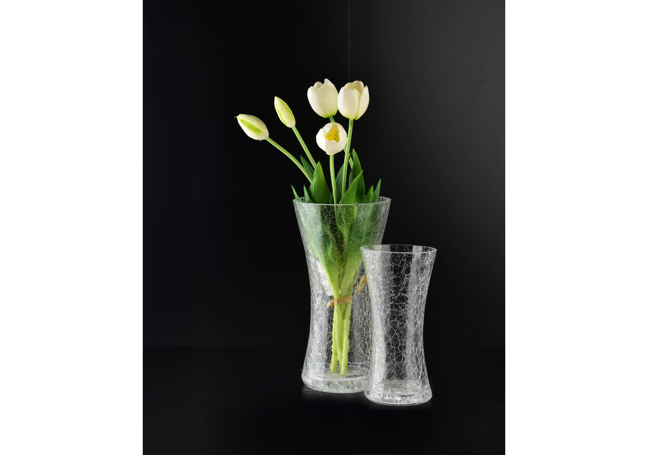 Vase SERENITE - Verre élégant 9,5 x 19,5 cm - HTID5846 - Mondex