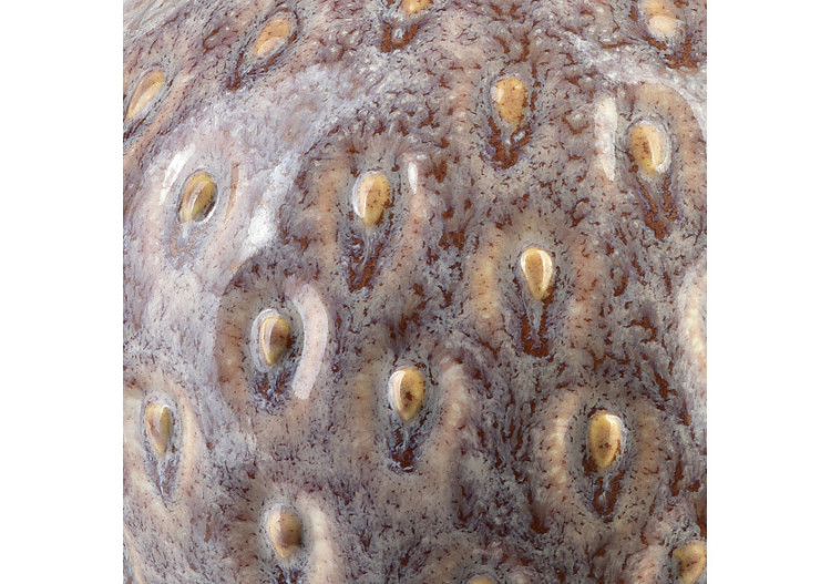 Kula Dekoracyjna SAGGIO STRAWBERRY - 10x10x9cm pour un décor pétillant - HTTS2058 - Mondex 2