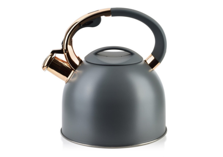 Bouilloire STEN GOLD - Capacité de 2,5L en acier inoxydable - HTXD6639-CX - Allesken