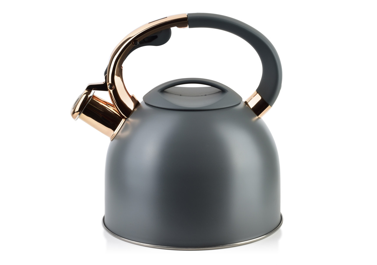 Bouilloire STEN GOLD - Capacité de 2,5L en acier inoxydable - HTXD6639-CX - Allesken