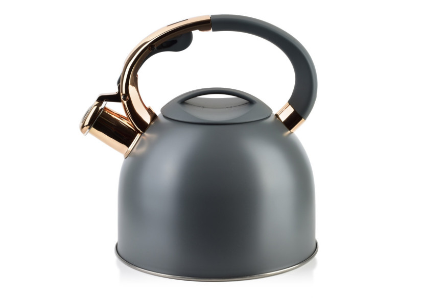 Bouilloire STEN GOLD - Capacité de 2,5L en acier inoxydable - HTXD6639-CX - Allesken