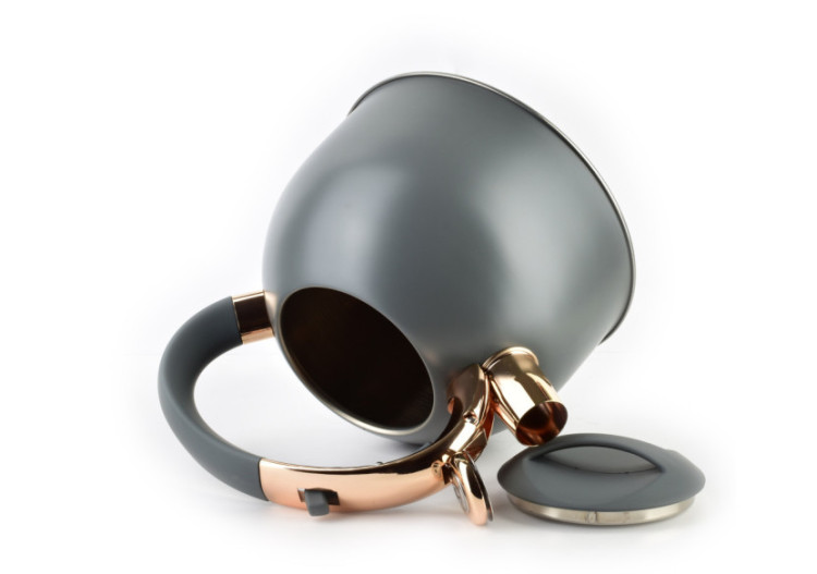 Bouilloire STEN GOLD - Capacité de 2,5L en acier inoxydable - HTXD6639-CX - Allesken 2