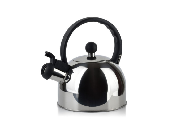 Bouilloire SAM SILVER - Acier inoxydable 2,5L, grande capacité et robustesse - HTXD6721-CX - Allesken