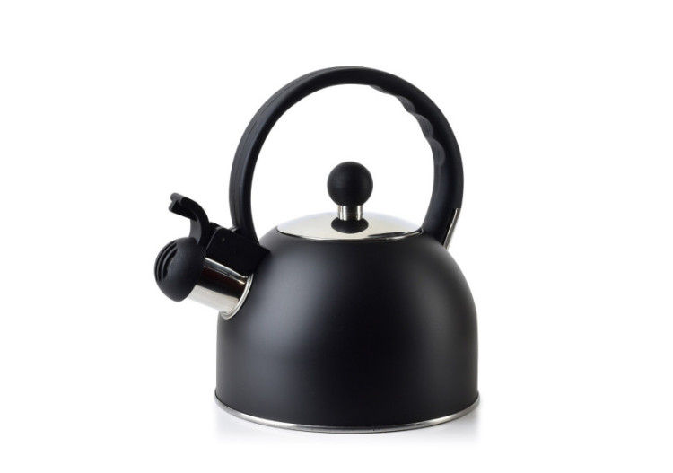 Bouilloire SAM BLACK - Acier inoxydable 2,5L - HTXD6738-CX - Allesken