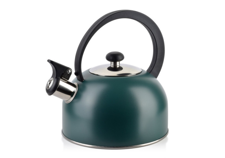 Bouilloire BORYS GREEN - Acier inoxydable 2,0L, élégance et fonctionnalité - HTXD6714-CX - Allesken