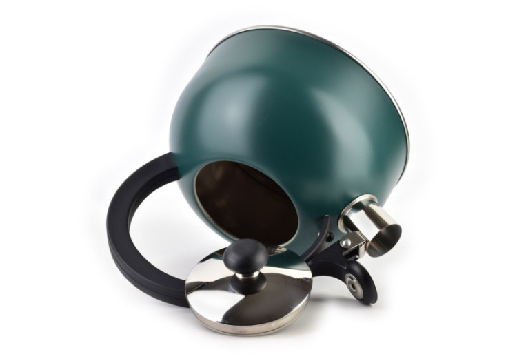 Bouilloire BORYS GREEN - Acier inoxydable 2,0L, élégance et fonctionnalité - HTXD6714-CX - Allesken 2