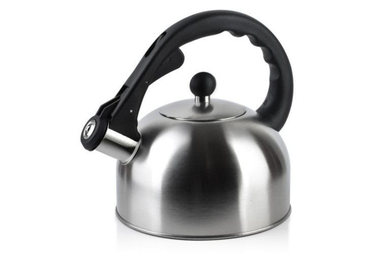 Bouilloire OWEN ARGENT - Acier inoxydable 2,0L - HTXD6813-CX - Allesken