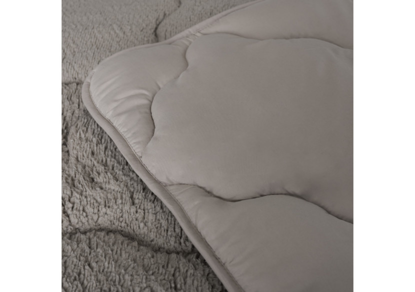 Couette Lazy Teddy Taupe - 200 x 200cm en Teddy et Microfibre - 17019251 - Sleeptime