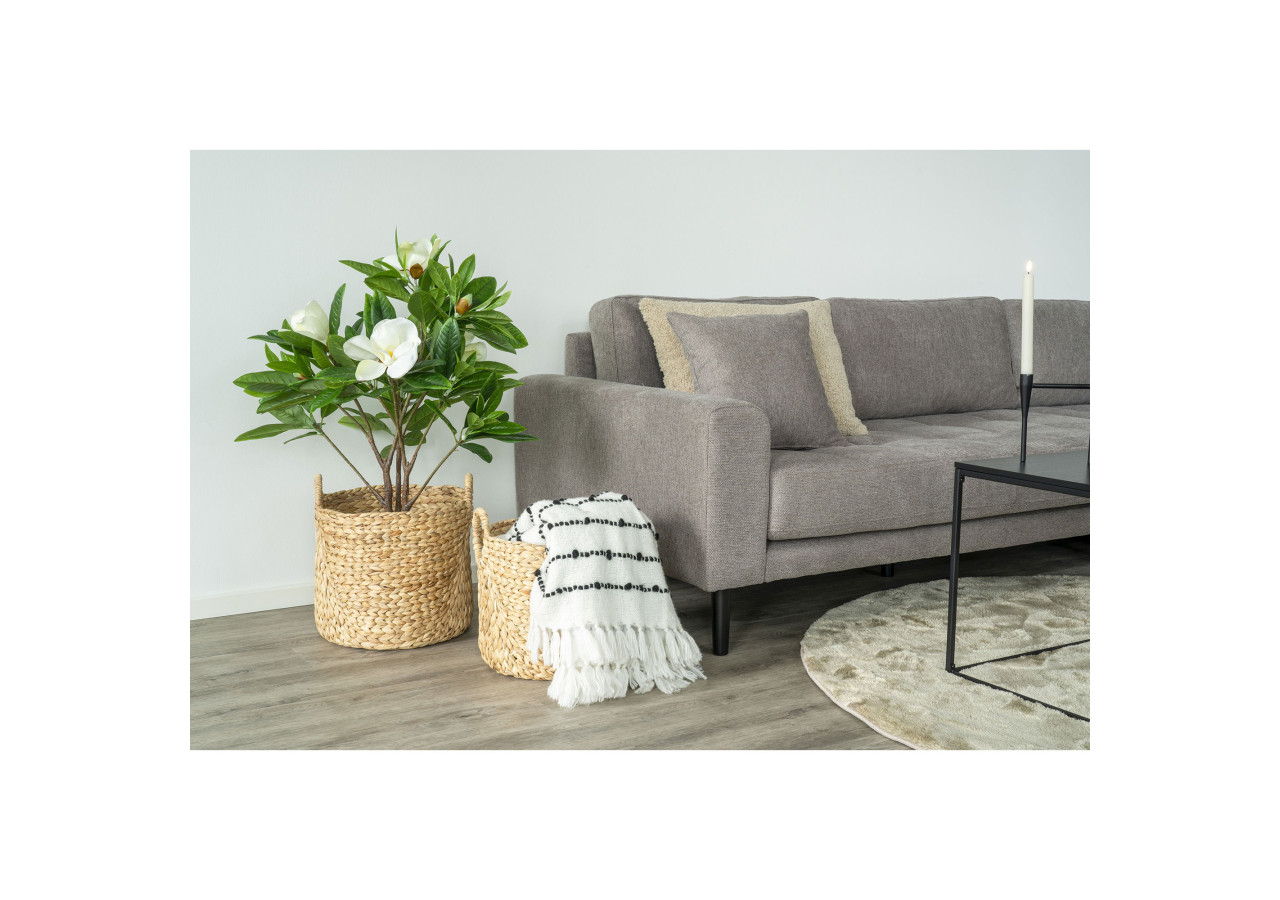 Ensemble de 2 Bacs Passo - Bacs ronds en jacinthe d'eau - 4401360 - House Nordic