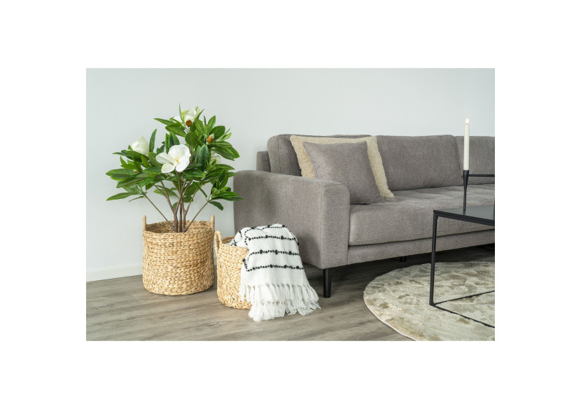 Ensemble de 2 Bacs Passo - Bacs ronds en jacinthe d'eau - 4401360 - House Nordic