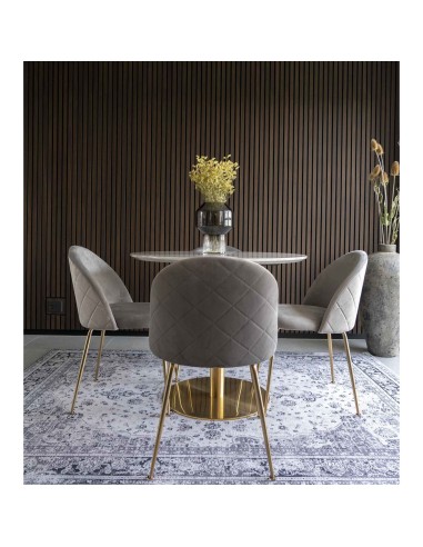 Chaise de Salle à Manger Geneve - Velours gris avec pieds en laiton - 1001252 - House Nordic