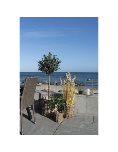 Ensemble de 3 Bacs Sema - Bacs ronds en kubu avec doublure - 4401300 - House Nordic