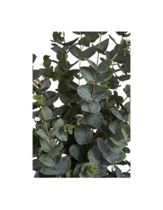 Arbre d'Eucalyptus - Élégance Naturelle - 9501015 - House Nordic 2