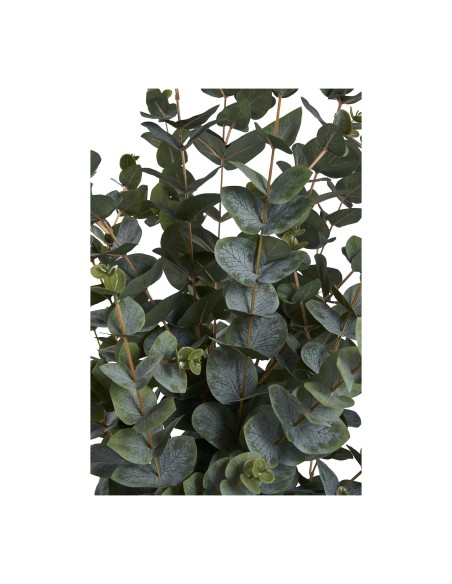 Arbre d'Eucalyptus - Élégance Naturelle - 9501015 - House Nordic