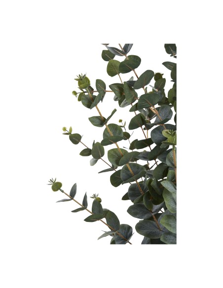 Arbre d'Eucalyptus - Élégance Naturelle - 9501015 - House Nordic