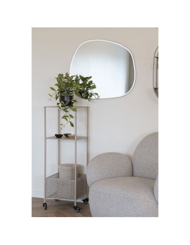 Hoya Carnosa - Plante Grimpante Élégante - 9501006 - House Nordic