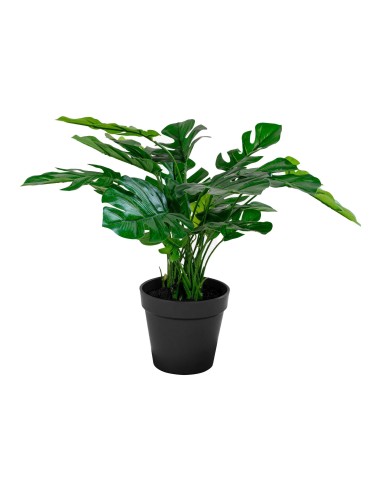 Plante Artificielle Monstera - 45 cm de verdure - 9501040 - House Nordic