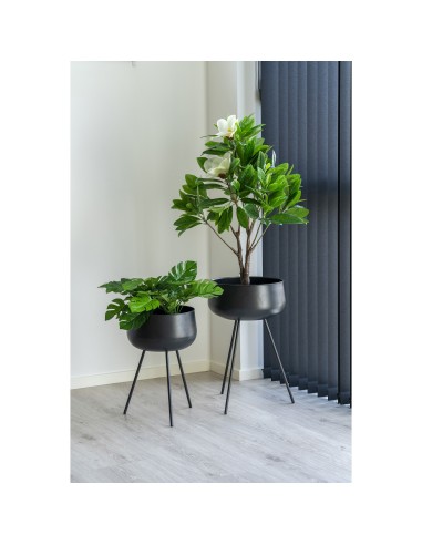 Pots de Fleurs Ardola - Ensemble de 2 pots en acier noir - 9001170 - House Nordic