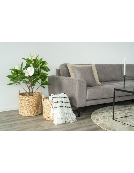 Ensemble de 2 Bacs Passo - Bacs ronds en jacinthe d'eau - 4401360 - House Nordic