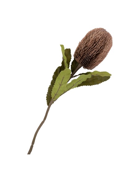 Bouquet King Protea - Fleurs artificielles bordeaux, 65 cm - 9501160 - House Nordic