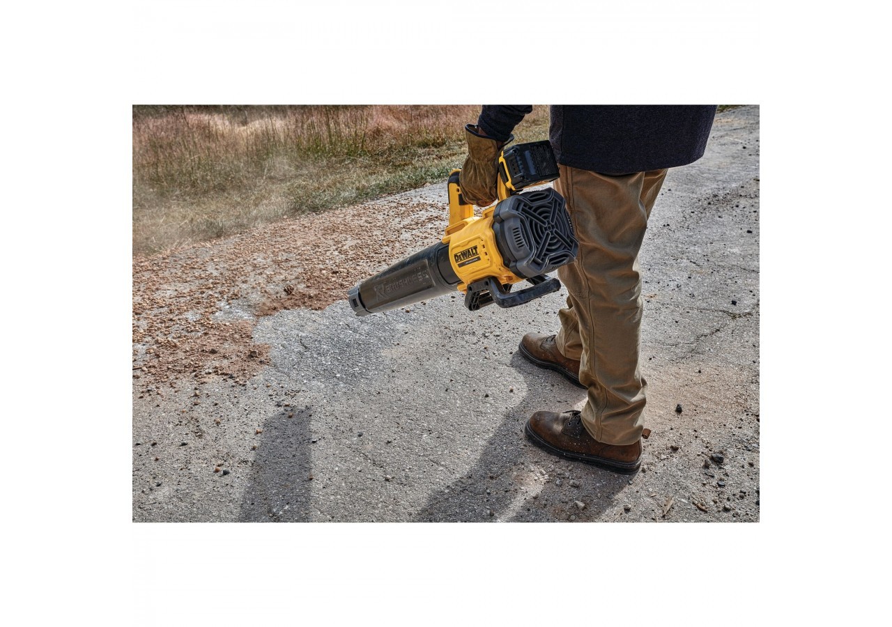 Souffleur XR 18V 5Ah Li-Ion Brushless - DCMBL562P1-QW - Dewalt