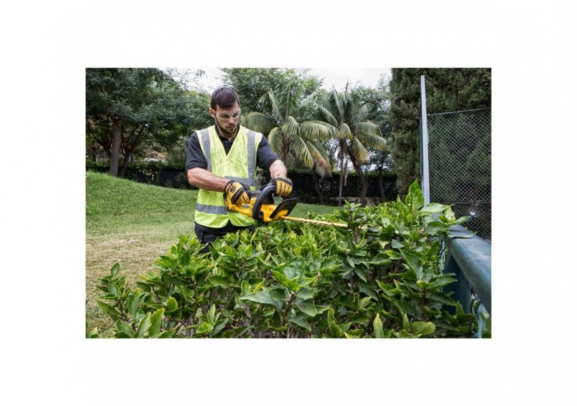 Taille-haies XR 18V - DCM563PB-XJ - Dewalt
