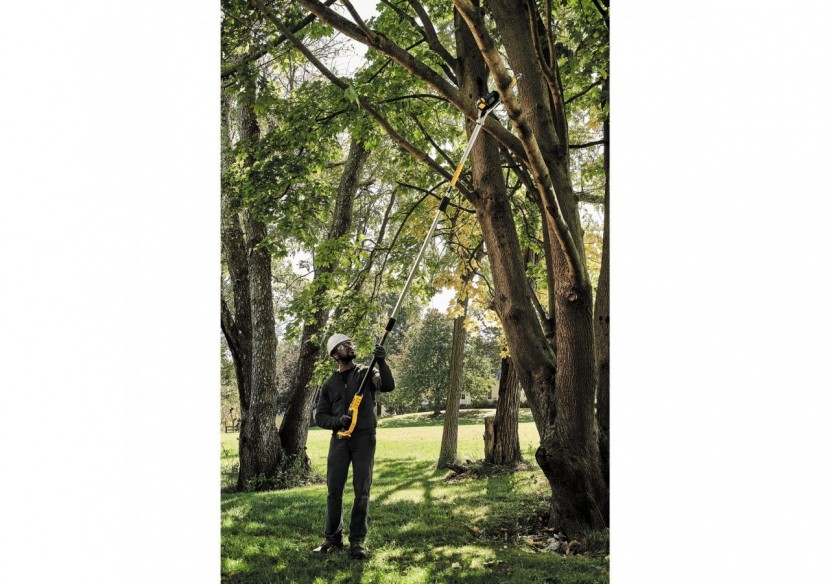 Elagueuse sur perche XR 18V 5AH Li-Ion Brushless - DCMPS567P1-QW - Dewalt